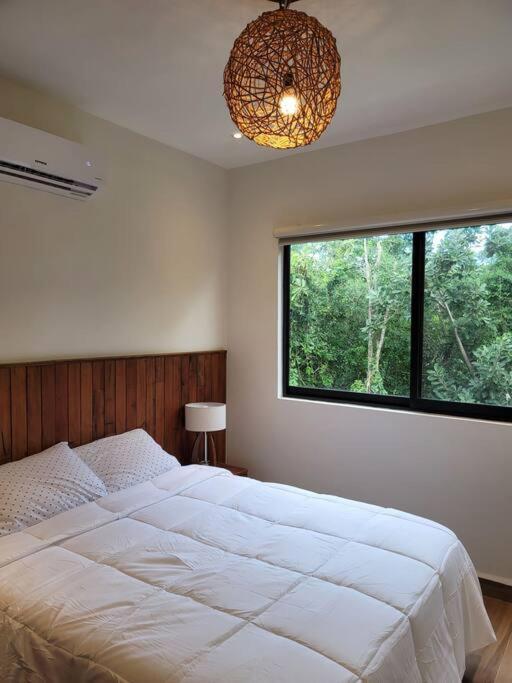 Amazing Dream Home In Gated Community 普拉亚卡门 外观 照片
